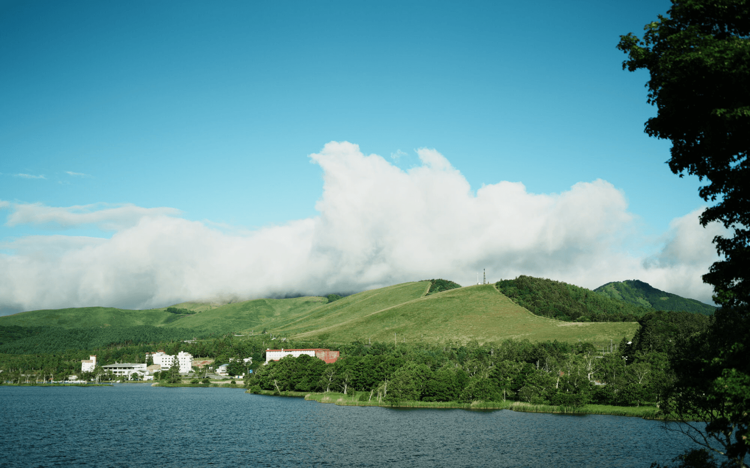中之島 全景